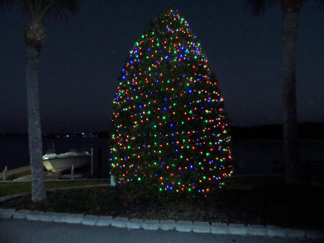 Tree Lighting & Party at the Bay 2019 <br> Photos by Rene Dube - Slide 1